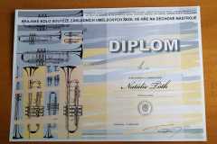Diplom-NT